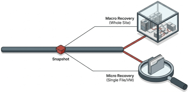 Diagram illustrating snapshot recovery processes, featuring two branches: Macro Recovery for whole site restoration and Micro Recovery for single file or virtual machine recovery.